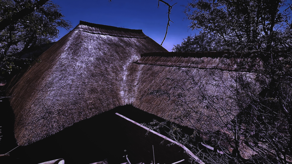 untitled design (9)